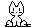 kitten