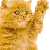 kitty