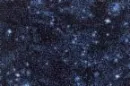 Dark Galaxy