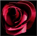 Red Rose