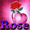 rose