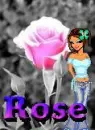 rose