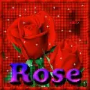 rose