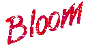 bloom