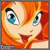 bloom