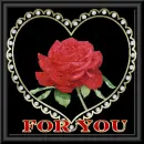 roses for you