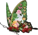 mariposa