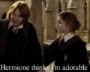 Ron is adorable!