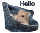 Hello