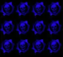 Skulls