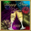 happy new year 2009