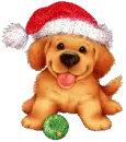 christmas puppy