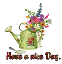 Nice Day