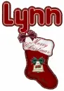 Lynn