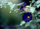 azkar