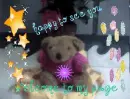 greeting bear