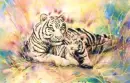 Tigers