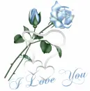 I Love You