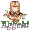 Aggela