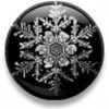 snowflake button