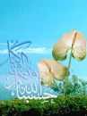 islaic