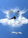 mohamed