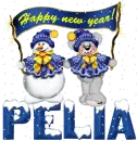 Pelia- Happy new year