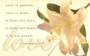 THE GIFT OF LOVE
