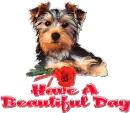 Have a beautiful day