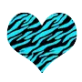 zebra heart