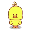 dancing duck