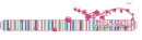 islamic