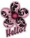 Hello