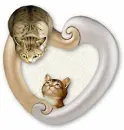 tracy cats