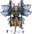 tracy fairy
