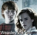 Ron and Hermione OotP
