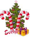 candycane tree, Evelyn