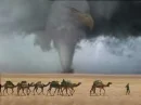 Camels Eagle Tornado