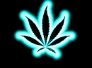 Weed.