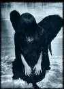 Fallen angel
