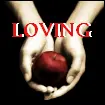What Twilight is all about