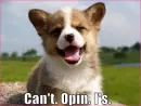 Can't Open Eyes xD