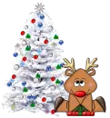 shy reindeer