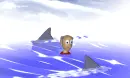 shark
