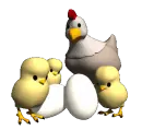 Chicken With Chicks 