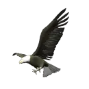 Eagle Talon