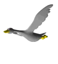 Goose Flying