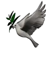Dove With Olive Branch