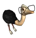 Ostrich Glasses Geek