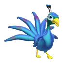 Peacock Strutting